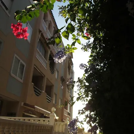 Lägenhet Apartamento El Toro Torrevieja
